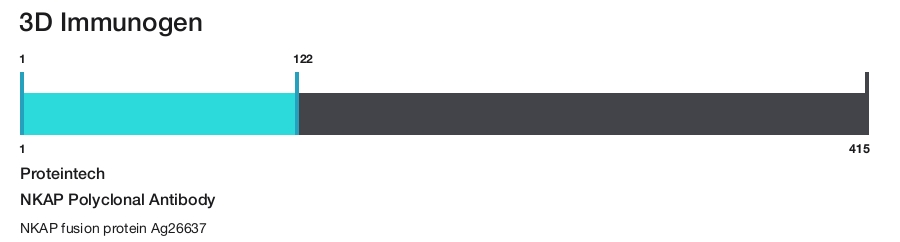 NKAP Polyclonal Antibody