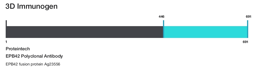 EPB42 Polyclonal Antibody
