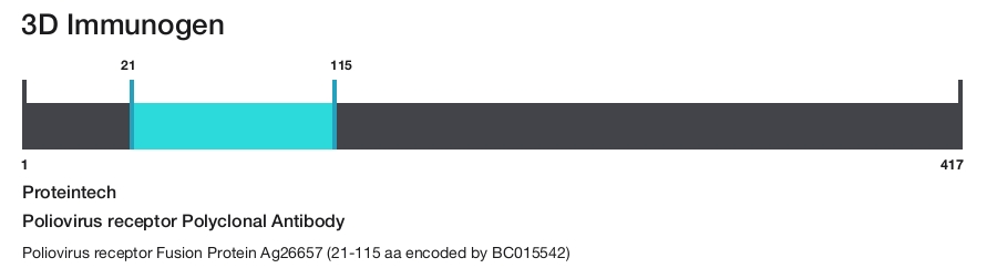 Poliovirus receptor Polyclonal Antibody