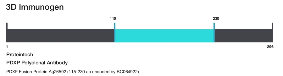 PDXP Polyclonal Antibody