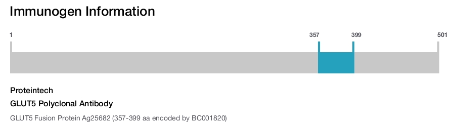 GLUT5 Polyclonal Antibody