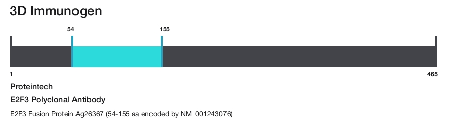 E2F3 Polyclonal Antibody