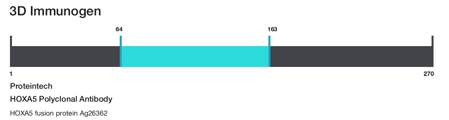 HOXA5 Polyclonal Antibody