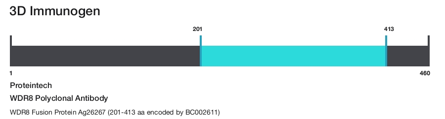 WDR8 Polyclonal Antibody
