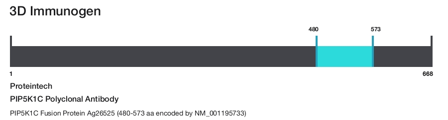 PIP5K1C Polyclonal Antibody