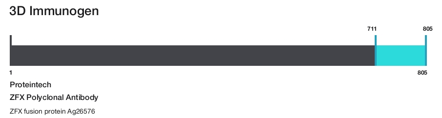 ZFX Polyclonal Antibody