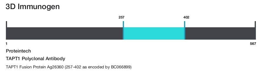 TAPT1 Polyclonal Antibody