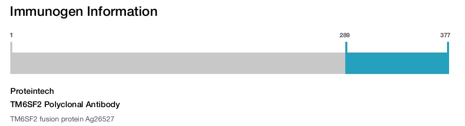 TM6SF2 Polyclonal Antibody