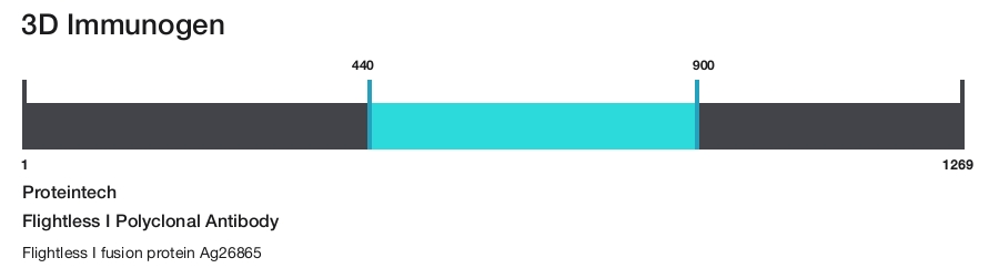 Flightless I Polyclonal Antibody