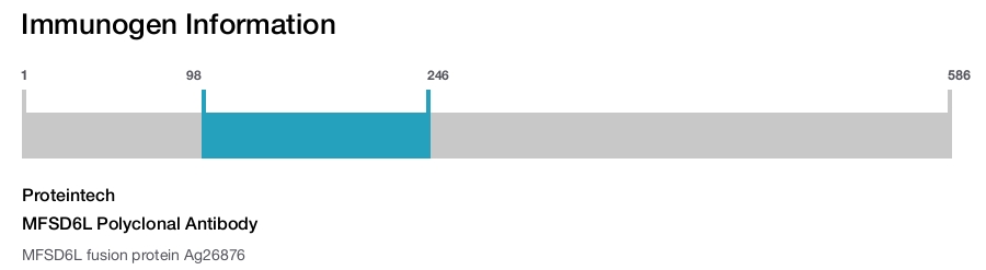 MFSD6L Polyclonal Antibody