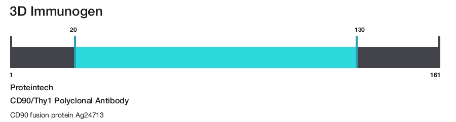 CD90/Thy1 Polyclonal Antibody