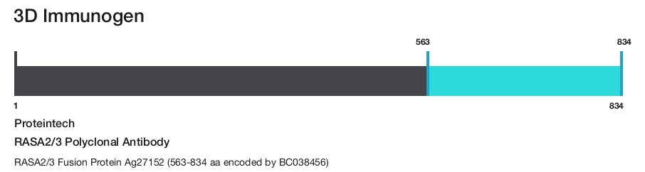 RASA2/3 Polyclonal Antibody