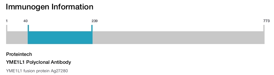 YME1L1 Polyclonal Antibody