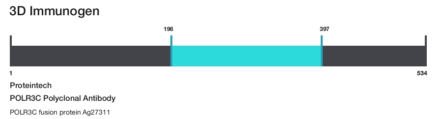 POLR3C Polyclonal Antibody