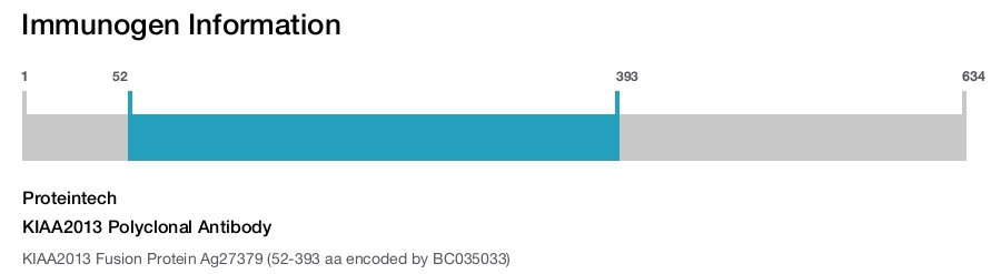 KIAA2013 Polyclonal Antibody