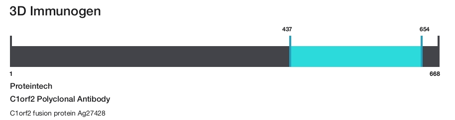 C1orf2 Polyclonal Antibody