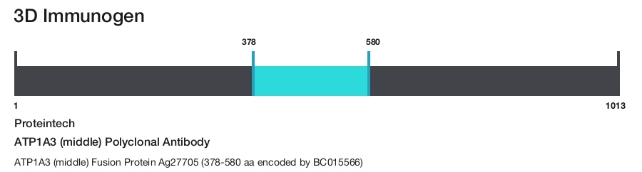 ATP1A3 (middle) Polyclonal Antibody