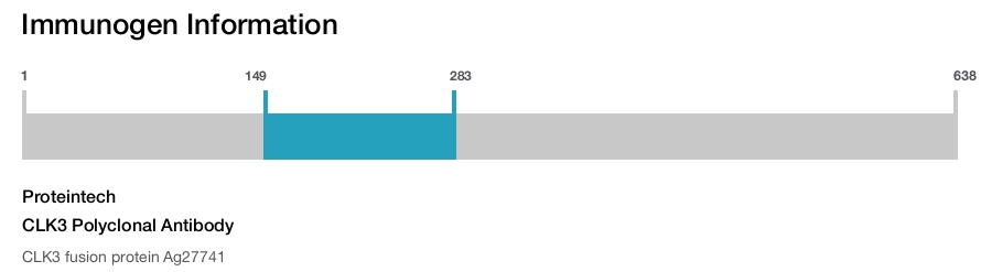 CLK3 Polyclonal Antibody