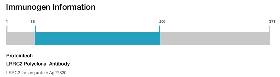 LRRC2 Polyclonal Antibody