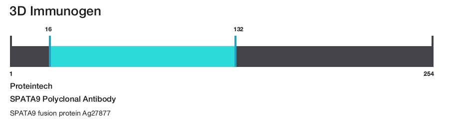 SPATA9 Polyclonal Antibody