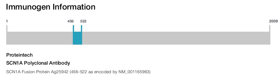 SCN1A Polyclonal Antibody