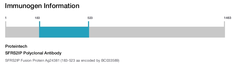 SFRS2IP Polyclonal Antibody