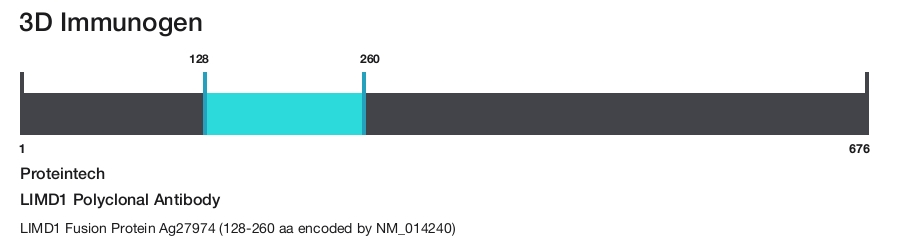 LIMD1 Polyclonal Antibody