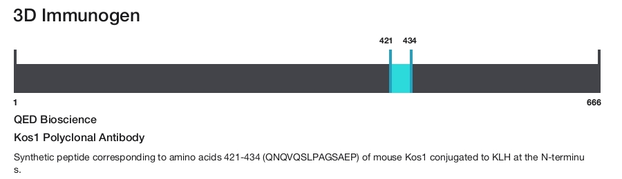 Kos1 Polyclonal Antibody