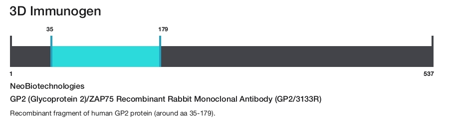 GP2 (Glycoprotein 2)/ZAP75 Recombinant Rabbit Monoclonal Antibody (GP2/3133R)