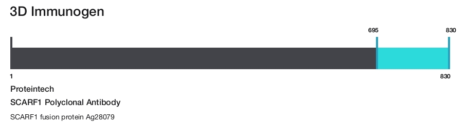 SCARF1 Polyclonal Antibody