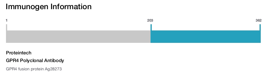 GPR4 Polyclonal Antibody
