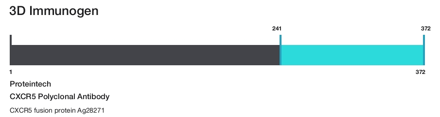 CXCR5 Polyclonal Antibody