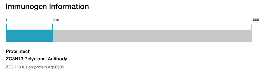 ZC3H13 Polyclonal Antibody