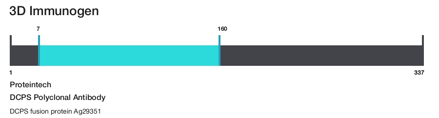 DCPS Polyclonal Antibody