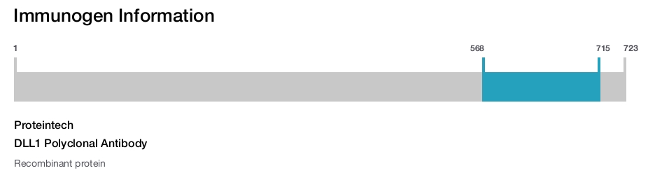 DLL1 Polyclonal Antibody