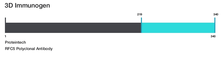 RFC5 Polyclonal Antibody