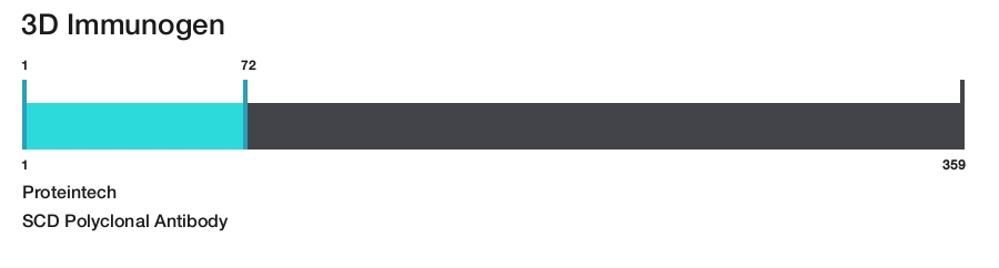 SCD Polyclonal Antibody