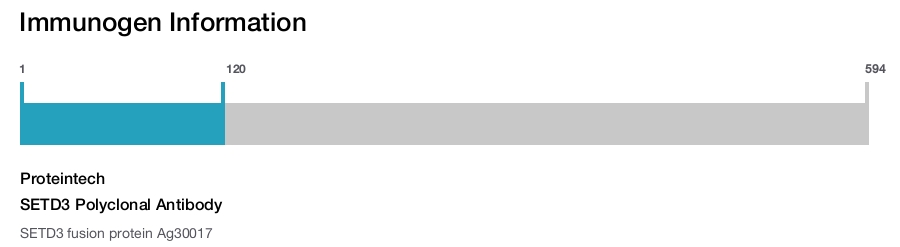 SETD3 Polyclonal Antibody