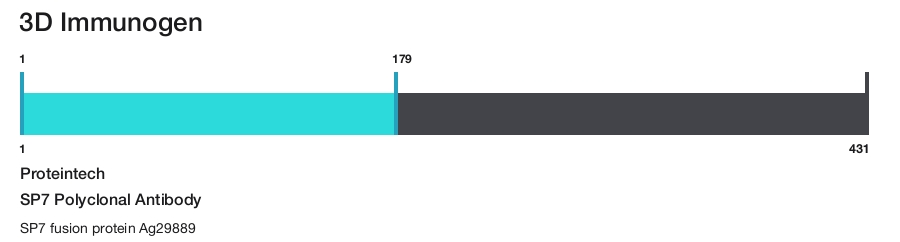 SP7 Polyclonal Antibody