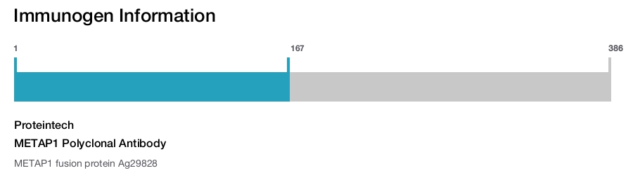 METAP1 Polyclonal Antibody