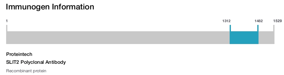 SLIT2 Polyclonal Antibody