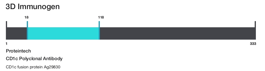CD1c Polyclonal Antibody