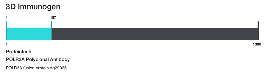 POLR3A Polyclonal Antibody