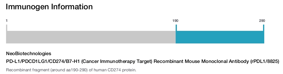 PD-L1/PDCD1LG1/CD274/B7-H1 (Cancer Immunotherapy Target) Recombinant Mouse Monoclonal Antibody (rPDL1/8825)