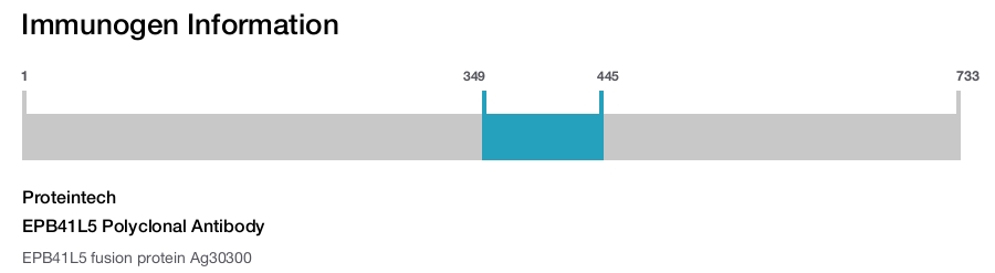 EPB41L5 Polyclonal Antibody