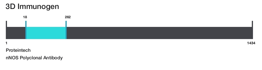 nNOS Polyclonal Antibody