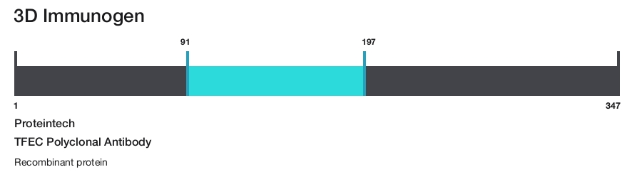 TFEC Polyclonal Antibody