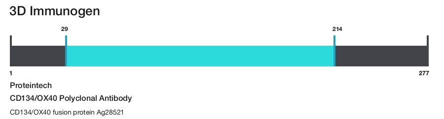 CD134/OX40 Polyclonal Antibody