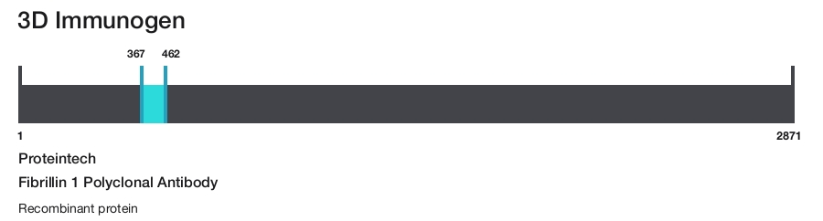 Fibrillin 1 Polyclonal Antibody