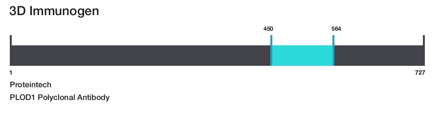 PLOD1 Polyclonal Antibody